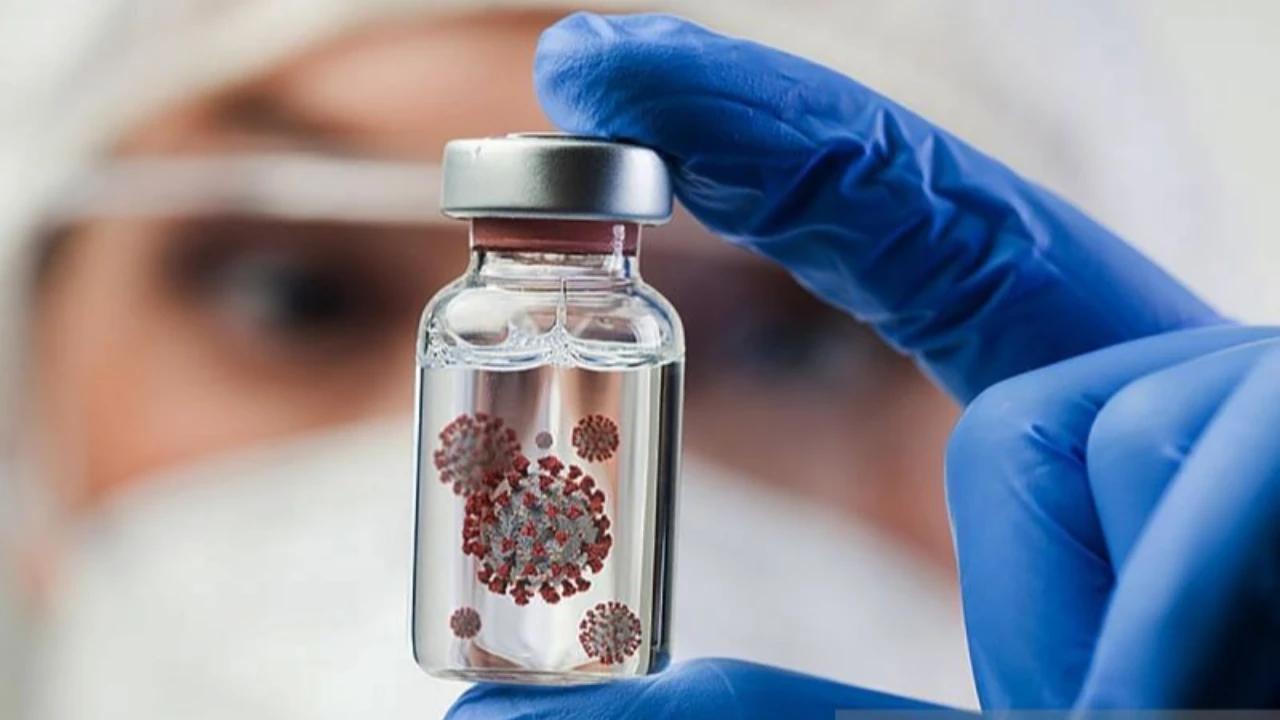 Jadi Salah Satu Daerah dengan Produksi Babi Terbesar di Indonesia, Bali Waspada Penyebaran Virus Nipah