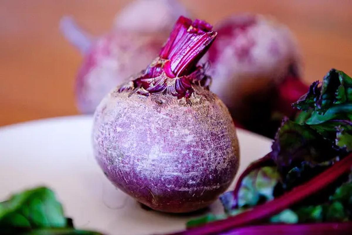 10 Sayur Tropis Cantik yang Bisa Jadi Tanaman Hias, Solusi Segar dan Estetik di Rumah