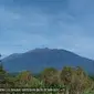 Ilustrasi Gunung Semeru (Istimewa)