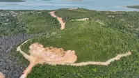 Korporasi Keruk Bukit di Hutan Lindung Tanjung Piayu Batam