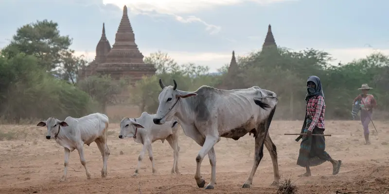 Kota kuil di Myanmar membutuhkan wisatawan saat konflik berkecamuk