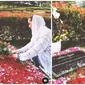 Bunga Citra Lestari ziarah ke makam Ashraf Sinclair (Sumber: Instagram/bclsinclair)