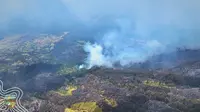 Tiga Titik Api Baru Terdeteksi di Cagar Alam Merapi Ungup-Ungup, Kawasan Pegunungan Ijen. (Dok. Istimewa)