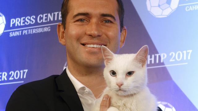 Achilles Si Kucing Peramal Siap Bekerja Di Piala Dunia 2018