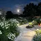 8 Tips Membuat Moon Garden, Pancarkan Keindahan Taman Malam di Halaman Rumah
