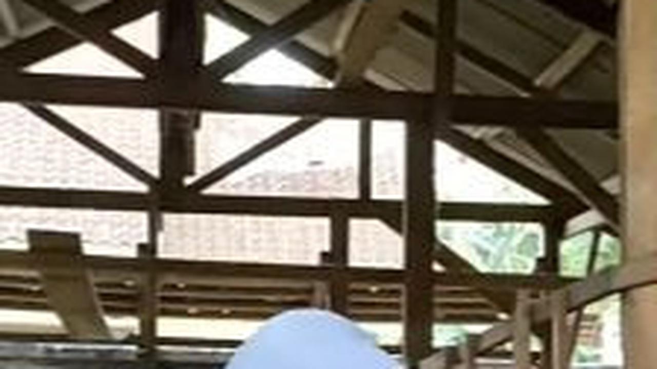Ibu Sukses Beternak Kambing<br>