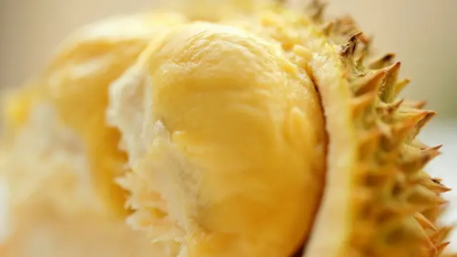 Durian bagi Kesehatan: Kawan atau Lawan?