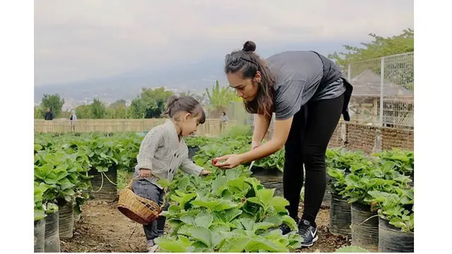 Begini potret Alexandra dan Charleteana saat berkebun, saling membantu.
