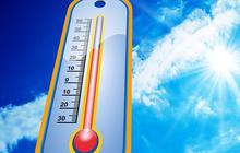Penelitian di London Ungkap Cara Mudah Turunkan Suhu Panas Hingga 2 Derajat Celcius, Bisa Diterapkan di Indonesia