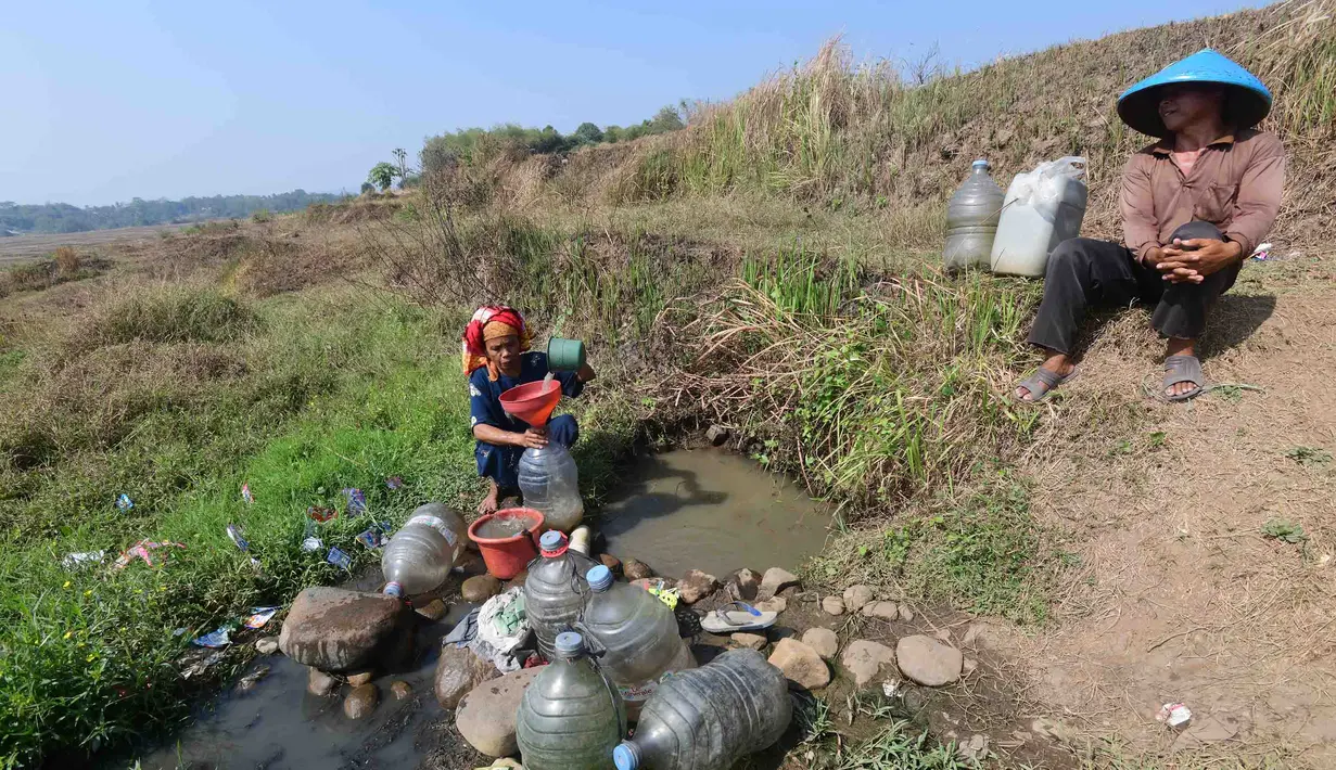 Warga mengambil air untuk kebutuhan sehari-hari pada kubangan bekas sawah di  kawasan Weninggalih, Jonggol, Jawa Barat, Selasa, 25 Agustus 2026. (KLY/ Arie Basuki)