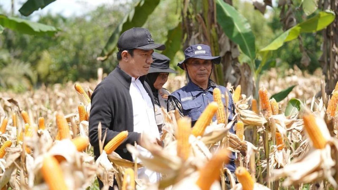 Bupati Bengkulu Utara: Program SADESAHE Tingkatkan Produktivitas Desa dan Ketahanan Pangan