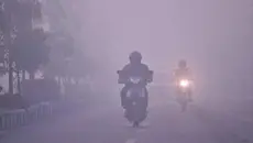 Sekolah di Kotim Ditutup Gara-Gara Kabut Asap Kebakaran Hutan