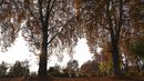Orang-orang duduk di samping pohon yang menumpahkan daun musim gugur mereka di taman Nishat Bagh di Srinagar (16/11/2020). (AFP/Tauseef Mustafa)