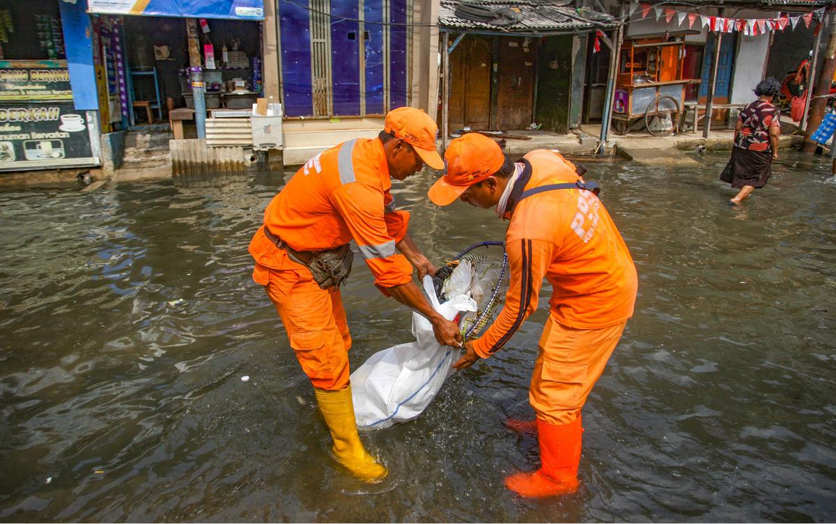Banjir rob Muara Angke