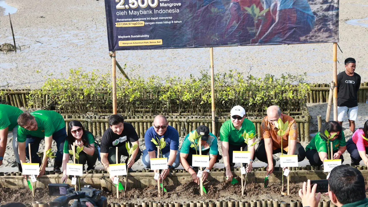 Launching eco-village dan penanaman 2.500 bibit mangrove oleh Maybank Indonesia. (Dok Maybank)