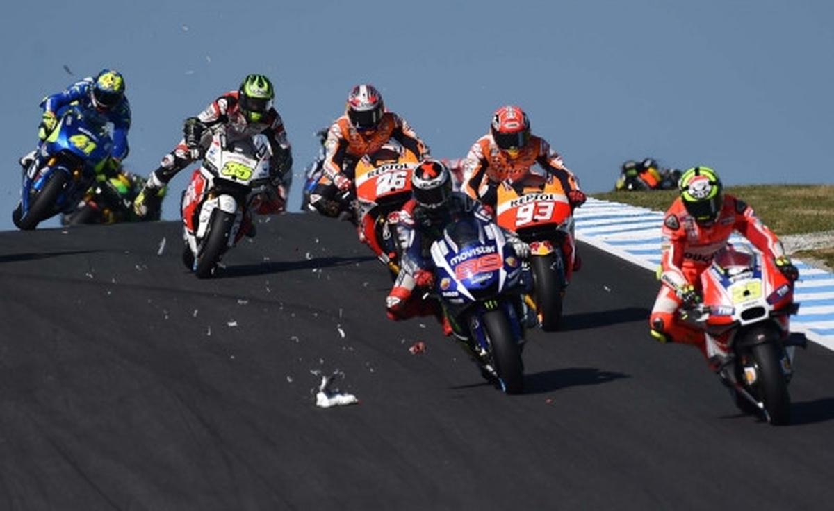 Nasib tragis burung camar jadi 'tumbal' MotoGP di Phillip Island