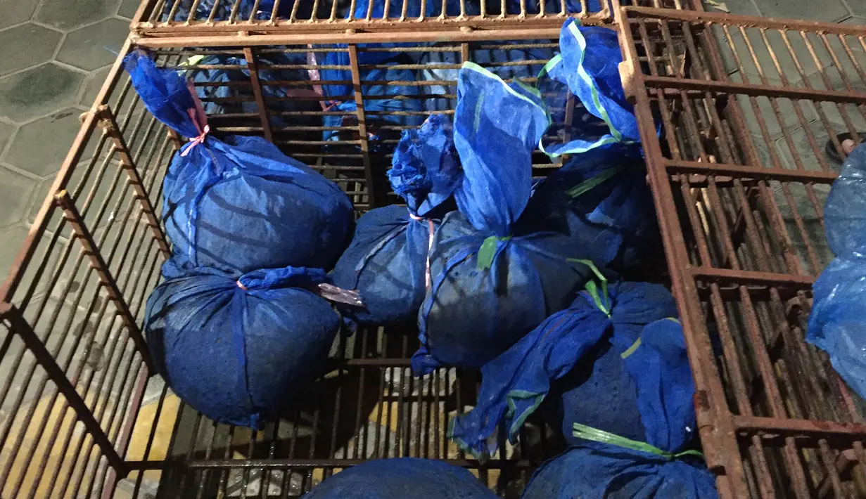 Puluhan trenggiling berada di dalam karung setelah diselamatkan dari perdagangan liar di provinsi Ha Tinh, Vietnam (30/7/2019). Trenggiling di Vietnam merupakan mamalia yang terancam punah dan sangat berharga. (AFP Photo/Save Vietnam's Wildlife)