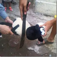 Menyambut Idul Adha 2015 ada yang disebut hari Arafah. Seperti apa pahalanya yang sangat istimewa?