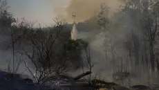 Helikopter Jatuh di Hutan Rio de Janeiro, 4 Orang Tewas