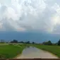 Sedimentasi di Banjir Kanal timur Semarang sangat besar volumenya. Foto diambil saat belum mulai dikeruk. (foto: Liputan6.com/edhie prayitno ige)