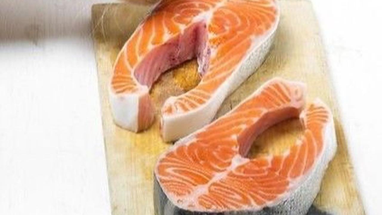 Rahasia Kucing Gemuk dan Bahagia: 7 Makanan yang Bikin Si Manis Tambah Montok!
