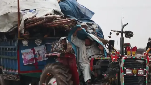 Film Walnut Tree (Istimewa)