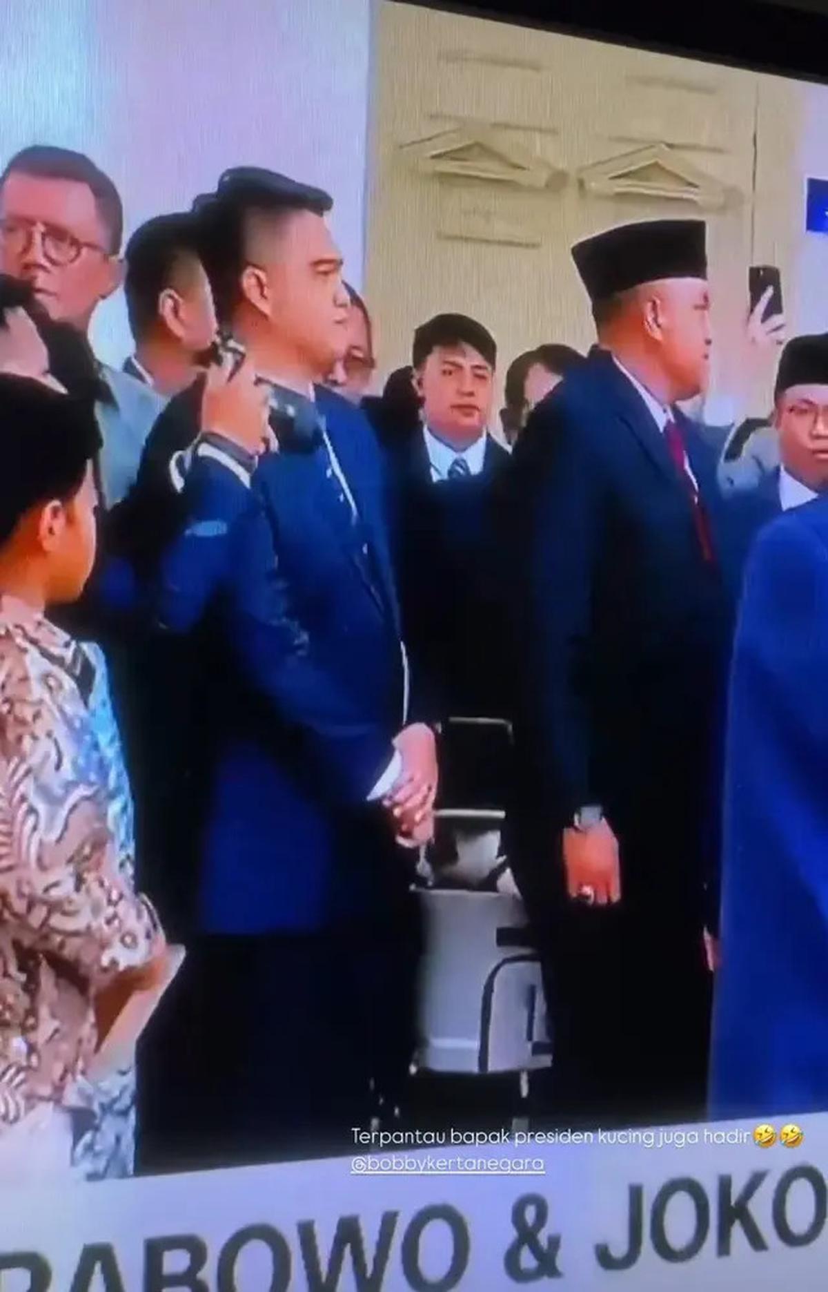 7 Potret Bobby Kucing Prabowo di Pelantikan Presiden, Jadi Penghuni Istana