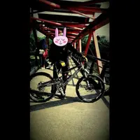 Wanita ini curhat soal sepedanya yang hilang di Facebook. Netizen fokus dengan harga sepedanya yang "wow" banget! (Facebook)