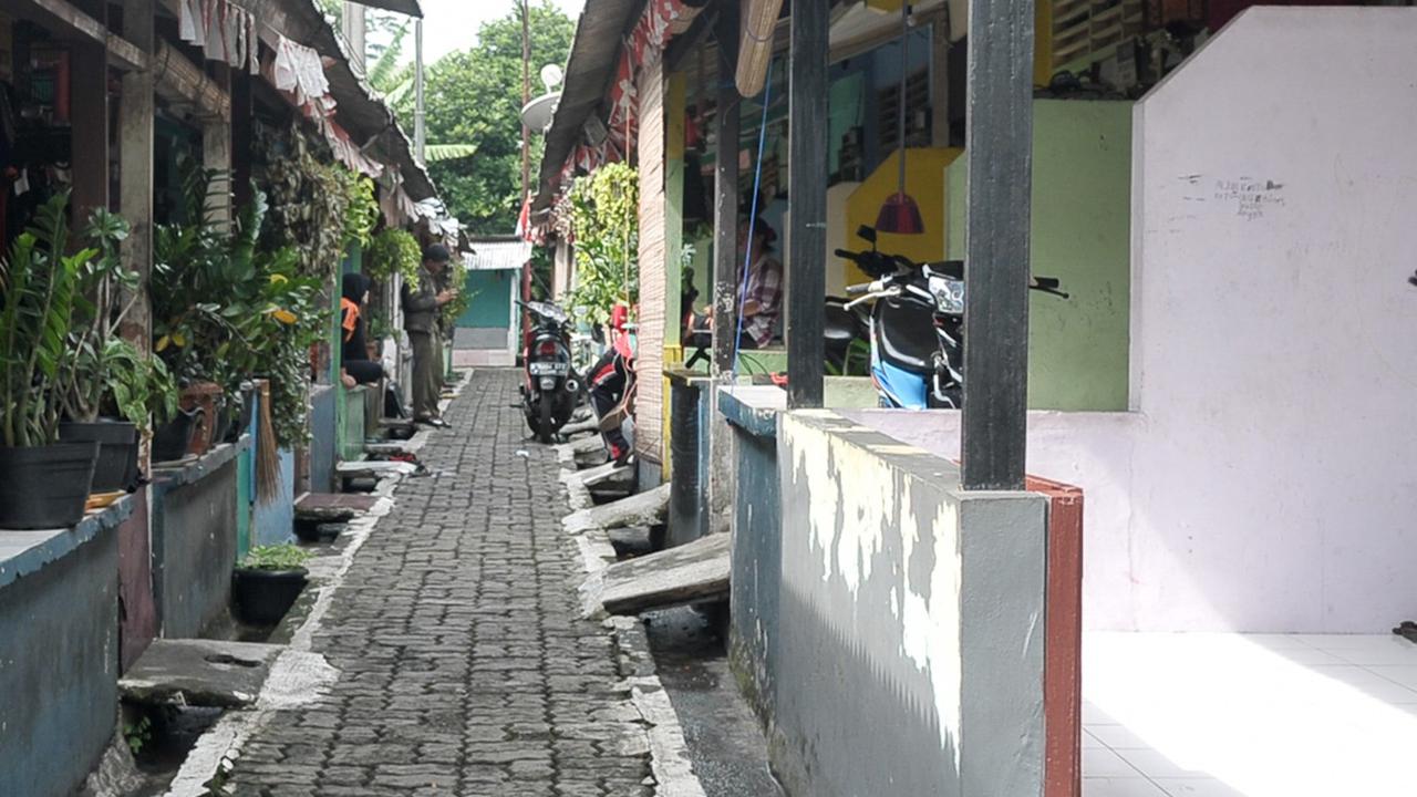 Jangan Anggap Sepele Hama dan Tikus di Rumah, Begini Cara Mudah Mengatasinya