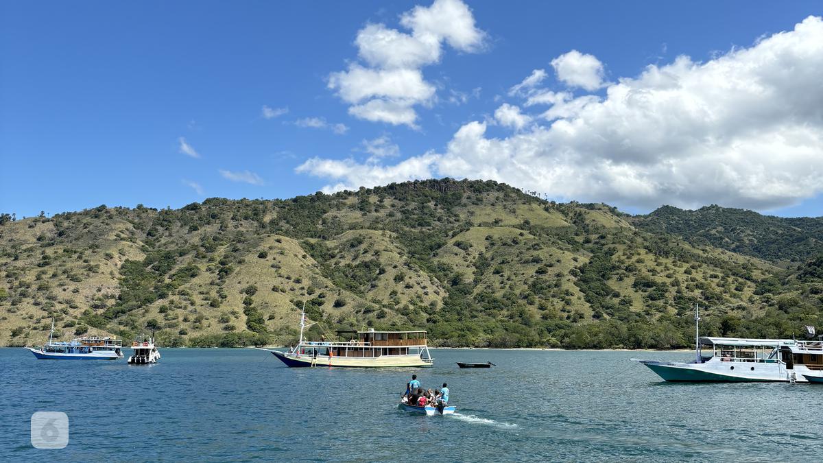 Top 3 Berita Hari Ini: Pelaku Wisata Perusak Terumbu Karang di Labuan Bajo Hanya Dikenakan Sanksi Administratif