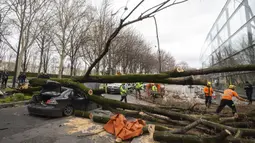 Petugas penyelamat membersihkan lokasi setelah sebuah pohon menimpa mobil di Paris (27/2/2020).  Brigade pemadam kebakaran Paris mengatakan telah lebih dari 100 kecelakaan terkait badai di wilayah Paris, ketika hembusan angin dan hujan tiba-tiba menyapu daerah tersebut. (Benoit Moser/BSPP via AP)