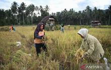 Ekonom Ingatkan IJK Jaga Kualitas Restrukturisasi Kredit Korban Bencana di Sumatera