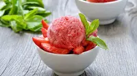 ilustrasi sorbet/Nadezhda Nesterova/Shutterstock