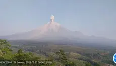Semeru Erupsi 4 Kali Pagi Ini, Kolom Abu Capai 1,3 Kilometer