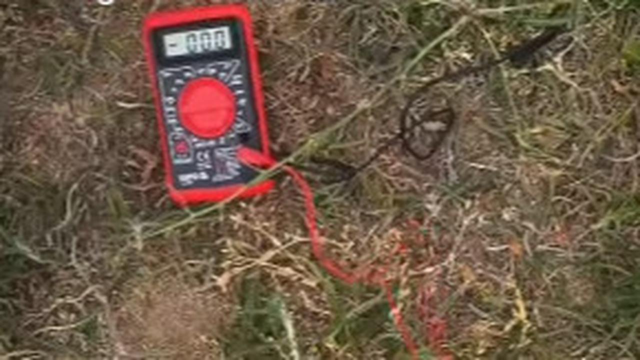 Pria Ini Buktikan Menyentuh Tanah Tanpa Alas Kaki Bisa Lepaskan Energi Negatif Dalam Tubuh, Begini Penjelasannya
