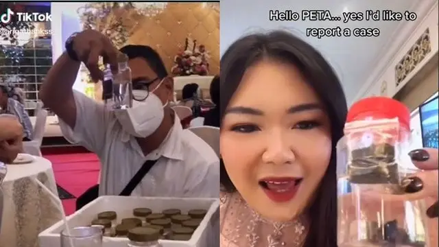 Viral Ikan Cupang Jadi Suvenir Pernikahan, Anti-mainstream Banget