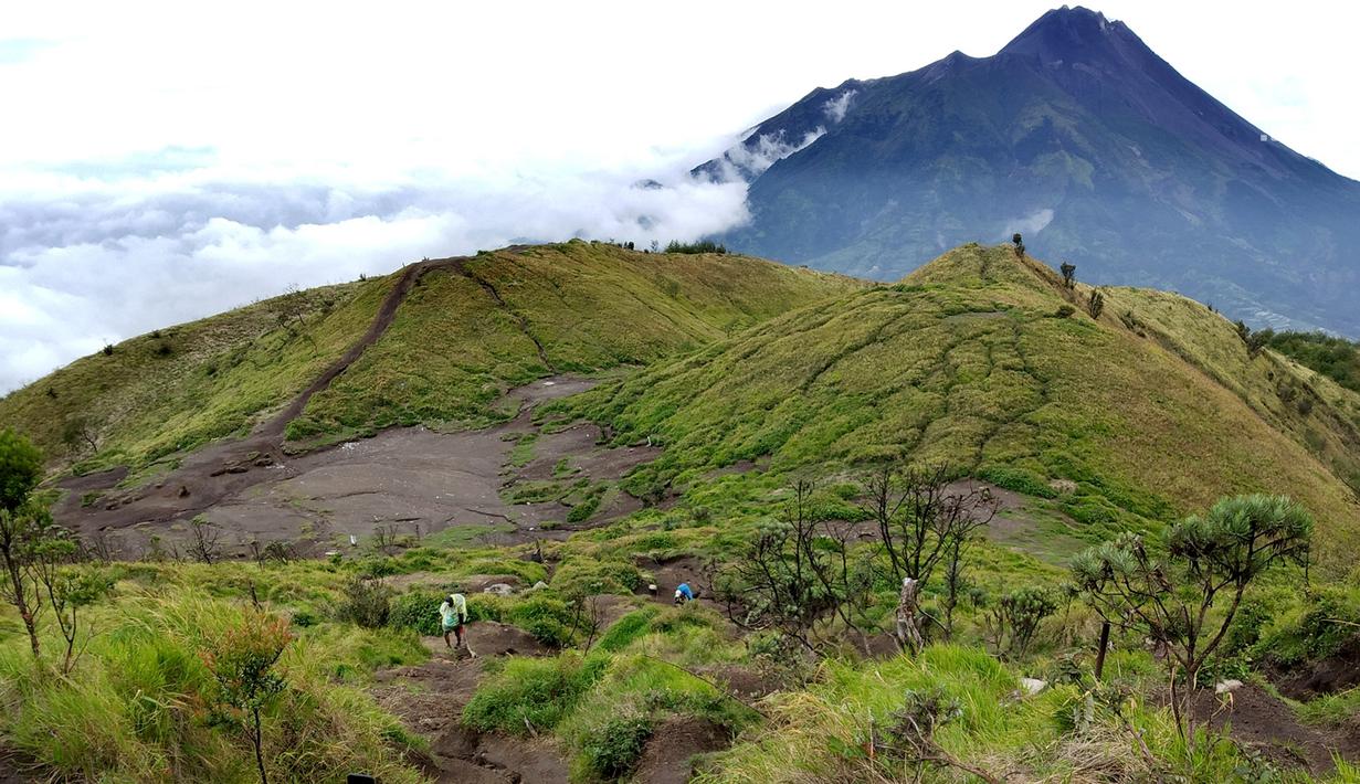 FOTO Libur Imlek Dimanfaatkan Warga Mendaki Merbabu  