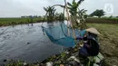 Warga mencari ikan betik menggunakan perangkap ikan tradisional atau anco di Kali Doser, Desa Wates, Bekasi, Jawa Barat, Selasa (21/1/2020). Selain untuk makan, ikan betik yang didapat warga juga digunakan untuk membuat terasi. (merdeka.com/Imam Buhori)