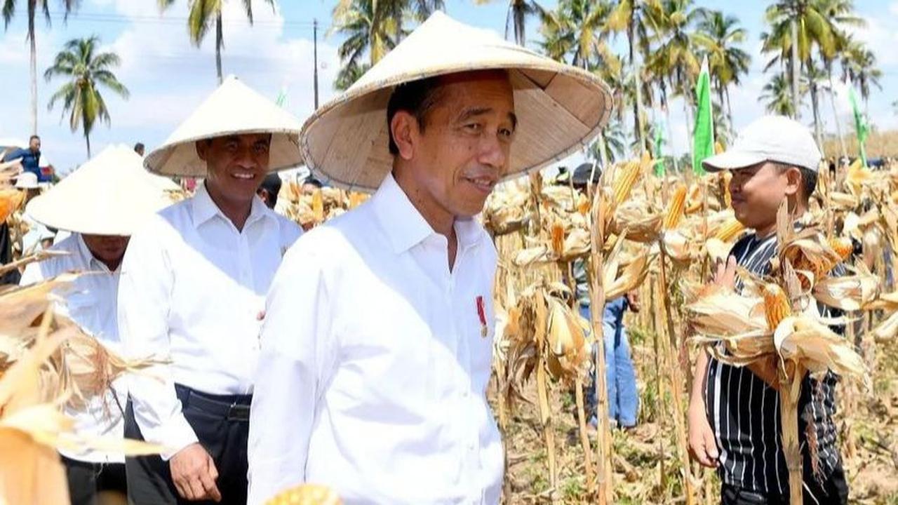Jokowi Sindir Pemda: Jangan Semua Pemerintah Pusat, Bapak-Ibu Kerjain yang Mana?