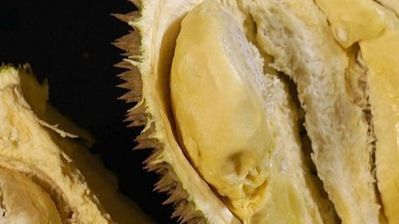 Manfaat Durian untuk Anak, Mendukung Pertumbuhan Tulang