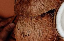 Gampang Ditiru, Ini Cara Pisahkan Daging Kelapa dari Tempurung Tanpa Menggunakan Pisau