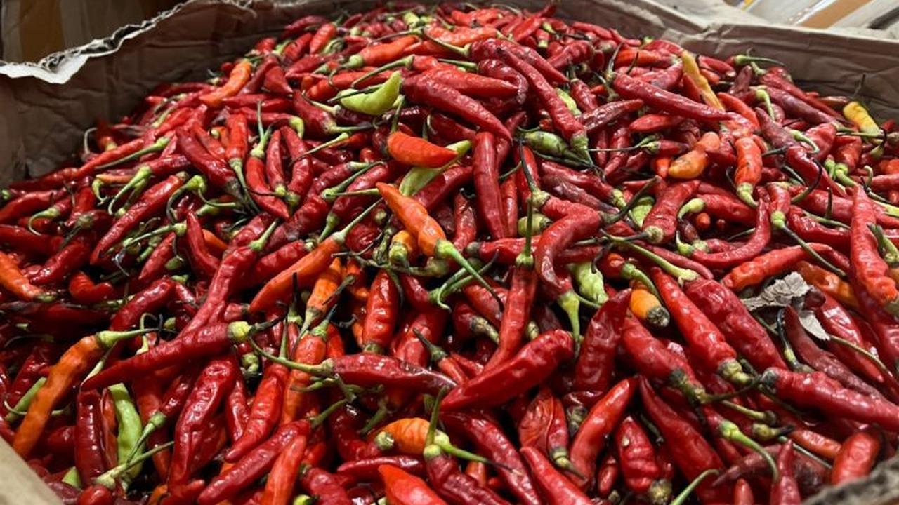 Harga Pangan Nasional Meroket: Cabai Rawit Merah Tembus Rp72 Ribu, Telur Ayam Rp33 Ribu