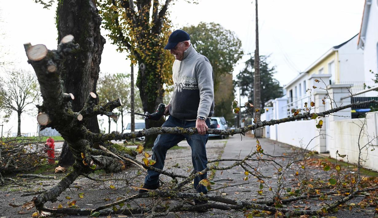 Warga memotong pohon yang tumbang di depan rumahnya di Saint-Nazaire, Prancis Barat, pada tanggal 2 November 2023, usai badai Ciaran menghantam wilayah tersebut. (Sebastien SALOM-GOMIS/AFP)