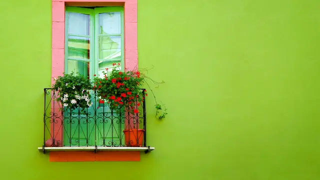 Cat Warna Hijau.