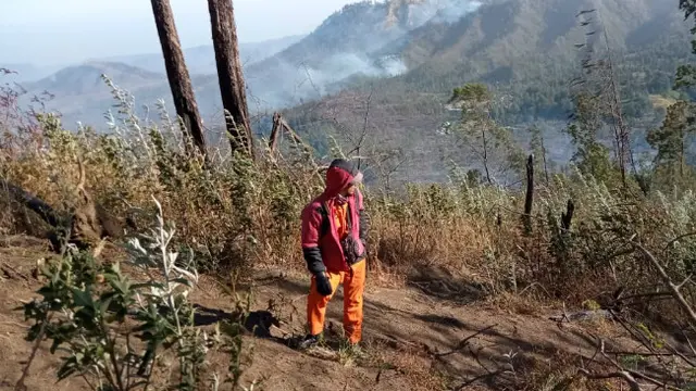 (Foto: Liputan6.com/Dian Kurniawan)