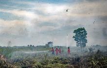 FOTO: Perjuangan Petugas Berjibaku Padamkan Karhutla di Ogan Ilir Sampai Kerahkan Helikopter