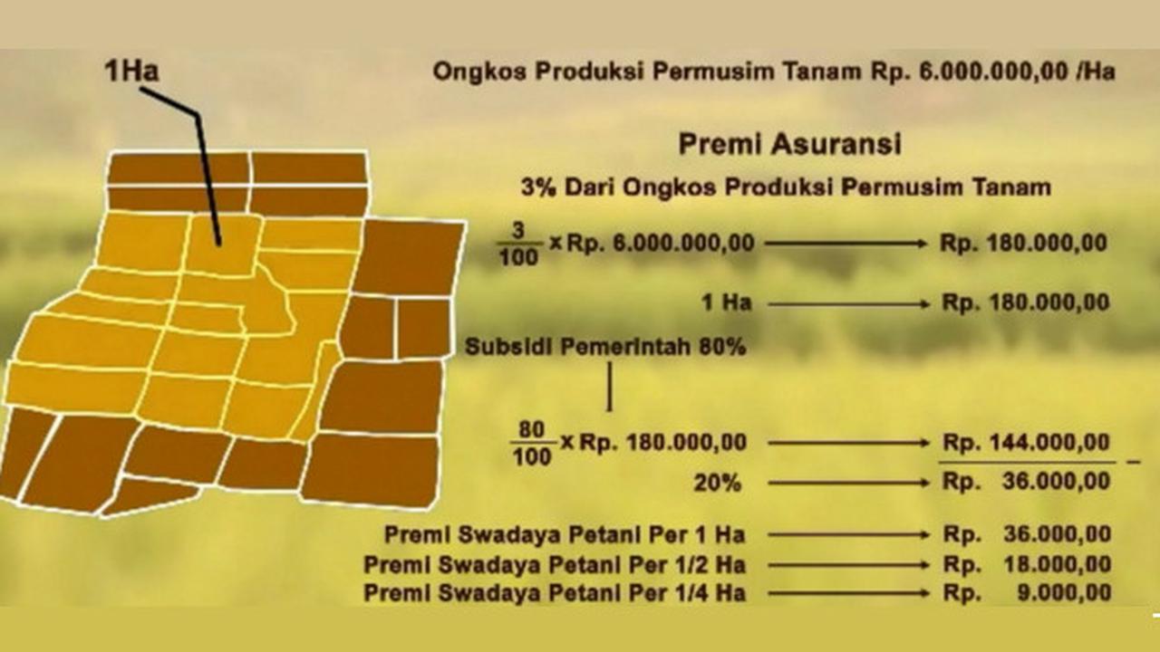 Asuransi Usaha Tani Padi (AUTP)