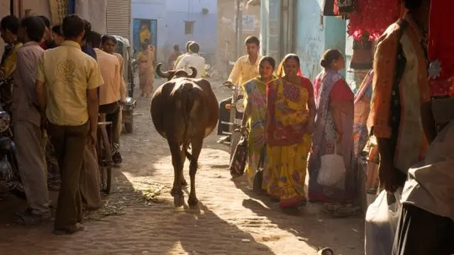 Palitana, kota vegetarian pertama di dunia.