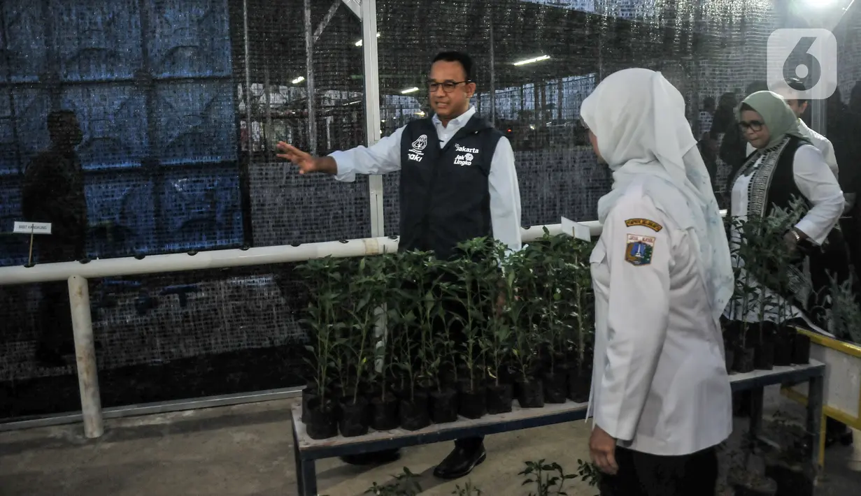 Gubernur DKI Jakarta Anies Baswedan mengunjungi rumah tanam bibit saat meresmikan Kampung Susun Bayam, Tanjung Priok, Jakarta Utara, Rabu (12/10/2022). Kampung Susun Bayam resmi digunakan sebagai hunian warga terdampak penggusuran akibat pembangunan Jakarta International Stadium (JIS). (merdeka.com/Iqbal S. Nugroho)