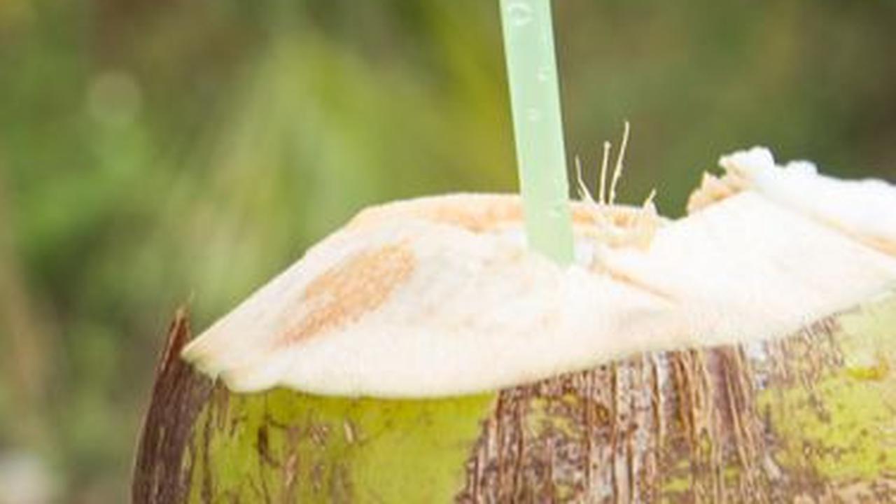 2. Cara Membuat Nata de Coco dari Air Kelapa Porsi Besar<br>